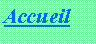 Zone de Texte: Accueil